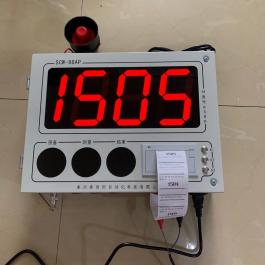 SCW-98AP現場帶打印數據微機鋼水測溫儀